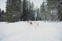Doumiak - Plateau des Glires