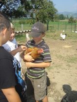 Un jour  la ferme