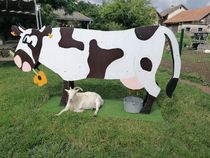 Un jour  la ferme